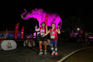 BIB: 
                            <button type="button" onclick="openModal(26534770)" class="btn btn-primary btn-sm float-right btn-popup" data-toggle="modal" data-target=".modal-high-quality">
                        <i class="fas fa-shopping-cart"></i> Add to Cart
                    </button>
                                            <button type="button" onclick="isThisMe(26534770, true)" class="btn btn-success btn-sm float-right btn-popup btn-isme hidden" data-toggle="tooltip" data-placement="bottom" title="นี่คือรูปของคุณใช่ไหม คลิกที่นี่เพื่อเอาเข้าอัลบั้ม">
                        <i class="fas fa-plus"></i> Add to album
                    </button>
                    <button type="button" onclick="isThisMe(26534770, false)" class="btn btn-warning btn-sm float-right btn-popup btn-isnotme hidden">
                        <i class="fas fa-ban"></i> Remove from album
                    </button>